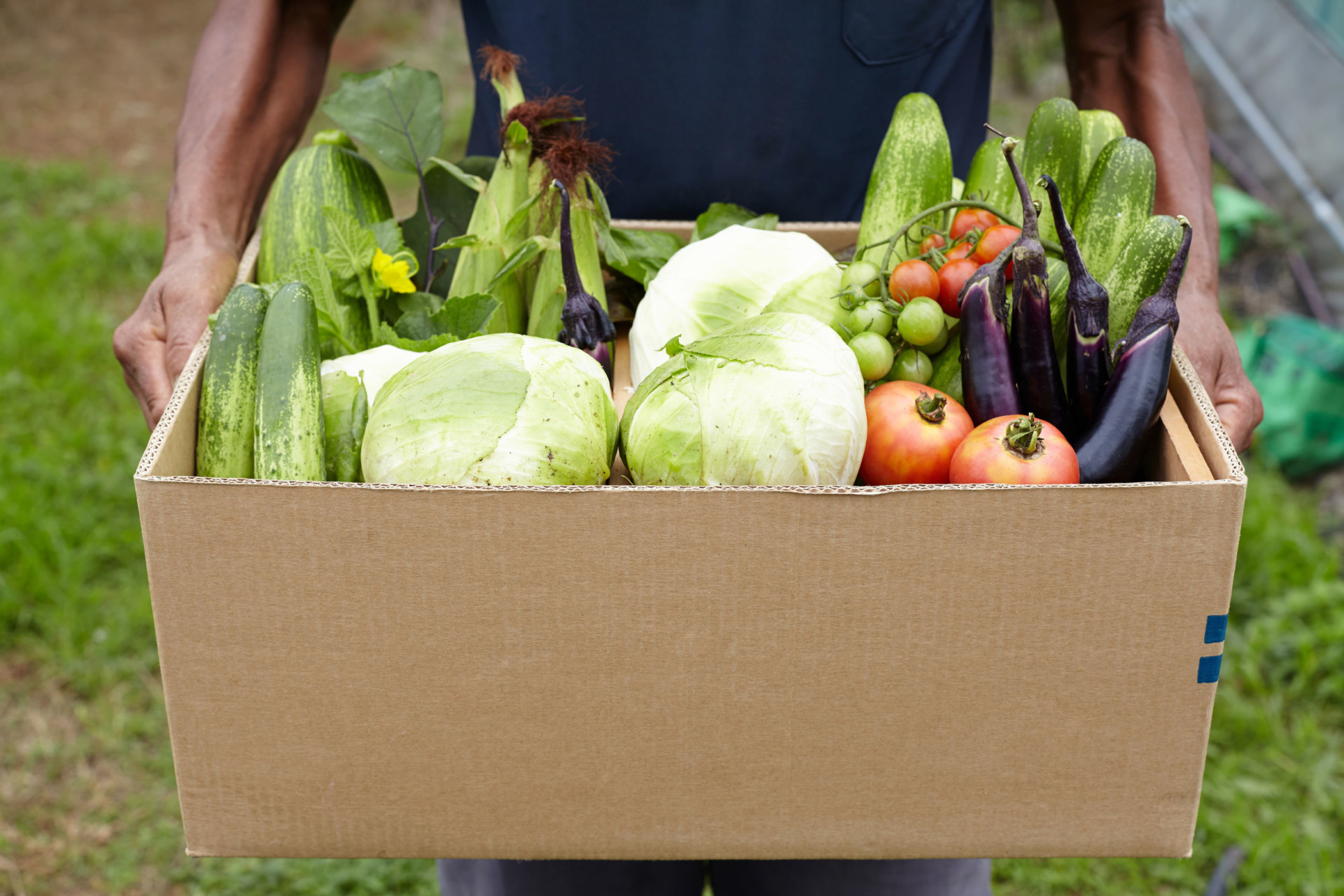 box filled fresh vegetables - community food drive